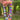 The Hamptons Tye dye beaded necklace