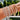 The Starlight Crystal Cuff