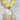 Butter Yellow Beaded Twisty Shell Necklace