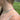 A close-up lifestyle shot of a model wearing a delicate, iridescent rainbow gradient beaded necklace, with a blurred green outdoor background.