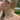 A close-up lifestyle shot of a model wearing a delicate, iridescent rainbow-colored necklace and a gold hoop earring in an outdoor setting.