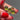 Drunk and in Love Olive Ring