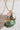 Green Shell with Flower Charm Necklace