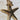 Large Gold Starfish Santorini Rope Necklace