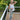 A woman stands on a wooden deck wearing a white sleeveless ruffled top, light blue jeans, and pink-and-white sneakers, while holding a white fringe macrame bag.
