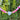 A handmade beaded necklace with pastel pink, orange,, and white striped beads, a white heart-shaped stone, and small gold spacer beads, shown against a blurred green outdoor background.