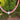 A pink and white striped beaded necklace with a white heart-shaped pendant, photographed outdoors against a background of green trees.