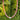 A beaded necklace with alternating pink and white striped beads and a small white heart pendant, held up against a background of green trees.