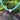 A turquoise blue beaded necklace with a small white heart-shaped ornament and gold-toned rings, photographed outdoors among green trees and a dirt path.