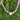 A colorful beaded necklace with a white heart-shaped pendant, photographed outdoors against a background of green bushes.